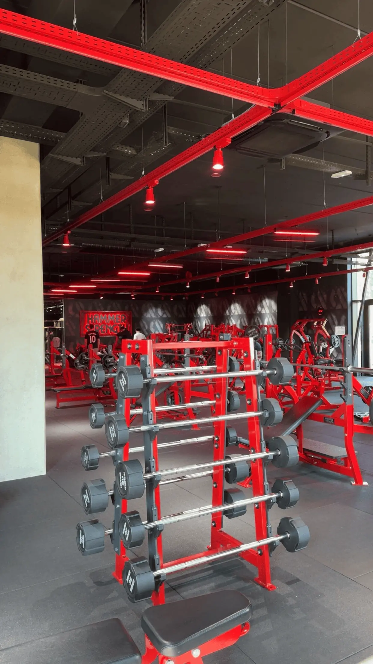 Musculation